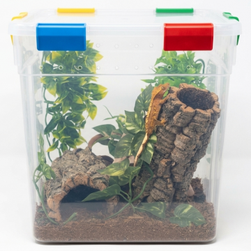 Temporary Baby Crested Gecko Habitat Request Quote